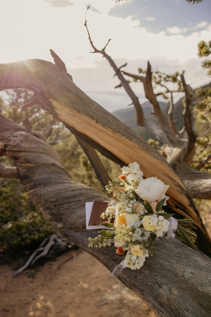 Elopement day details - bouquet, vow books, rings - laying on twisted tree in the mountains.