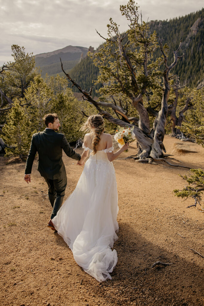 Eloping couple holding hands walking towards twisted tree.