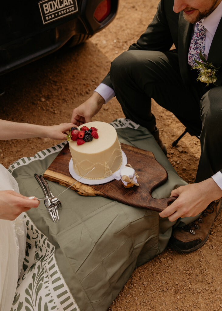 Small white elopement cake with berries on top.