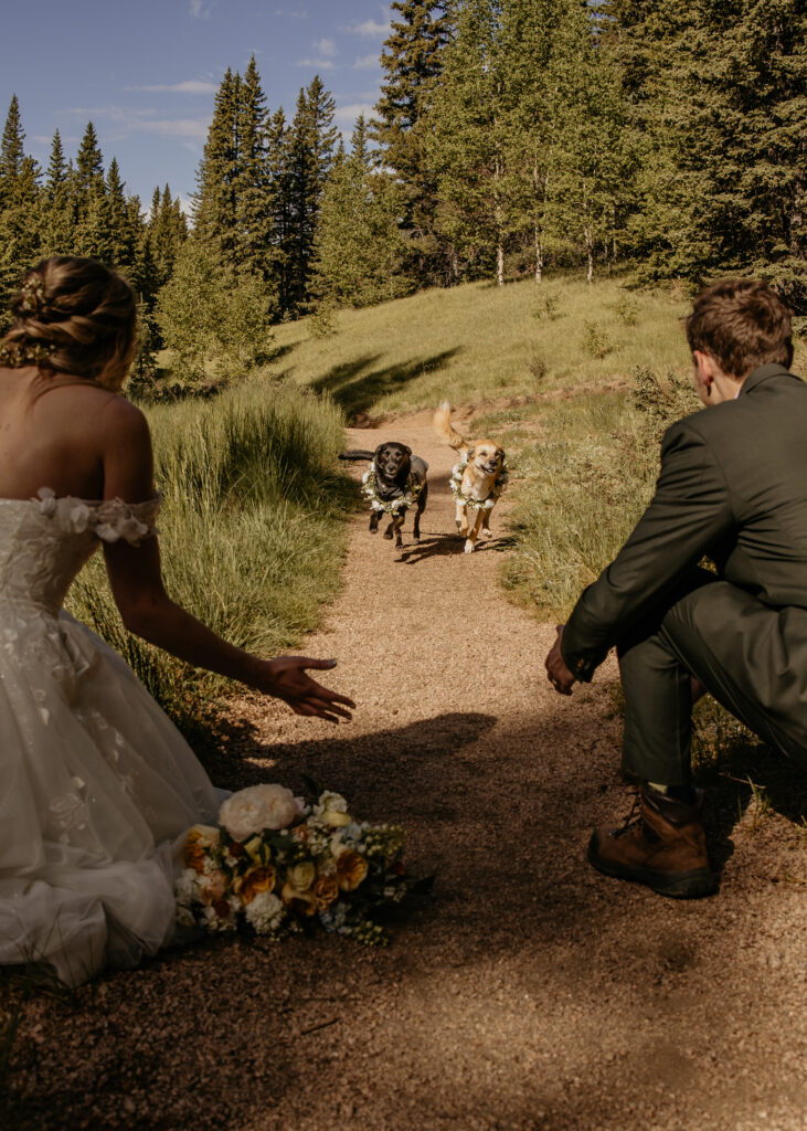 Dogs running towards bride and groom on trail.