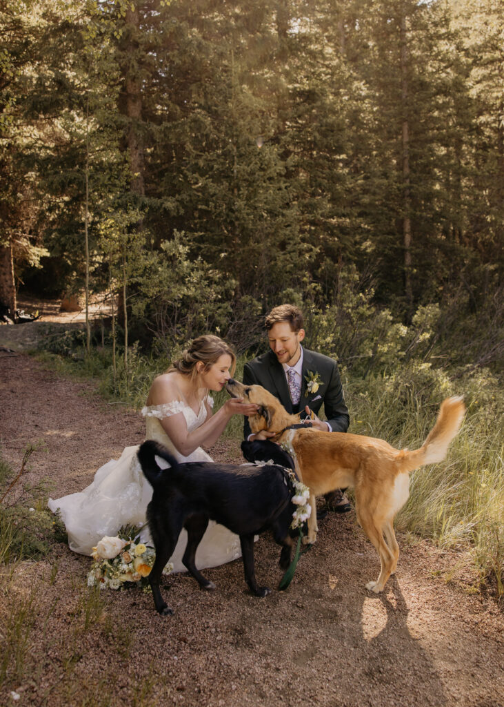 Elopement couple squatting down interacting with dogs on a trail.